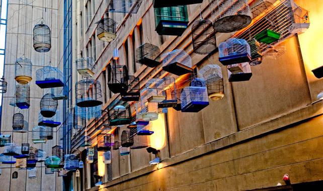 Local Artists Wanted To Bring Laneways To Life