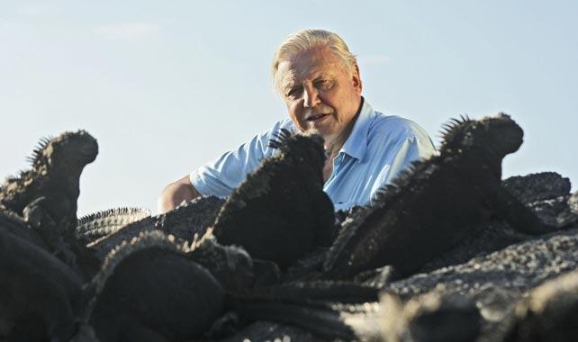 David Attenborough To Tour His Life On Earth In Australia (UPDATED)