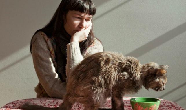 Photograph Depicting Elderly Cat Wins National Portrait Prize, Our Hearts