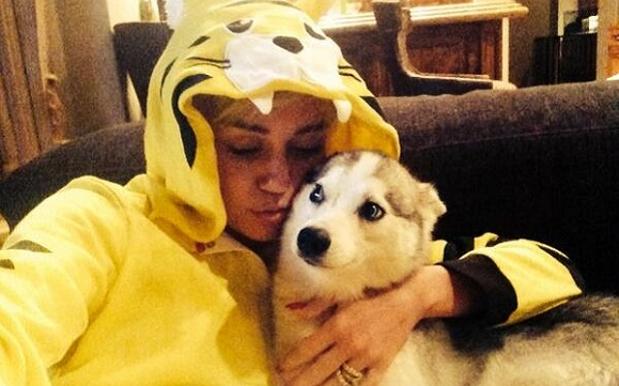 Twitter Rants: Miley Wants Everyone’s Heart To Break Like Hers Following Pet Dog’s Death