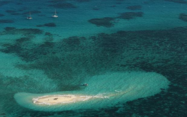 Help Fight The Dumping Of Dredge Spoil In The Great Barrier Reef