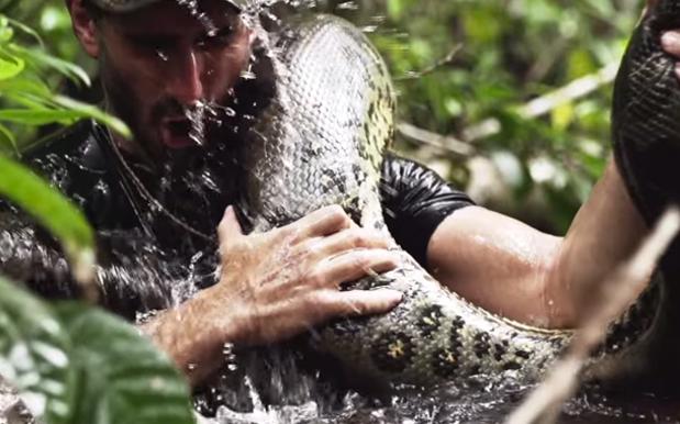 Man Who Let A Snake Eat Him Lets Us Know Why He’d Do Such A Thing
