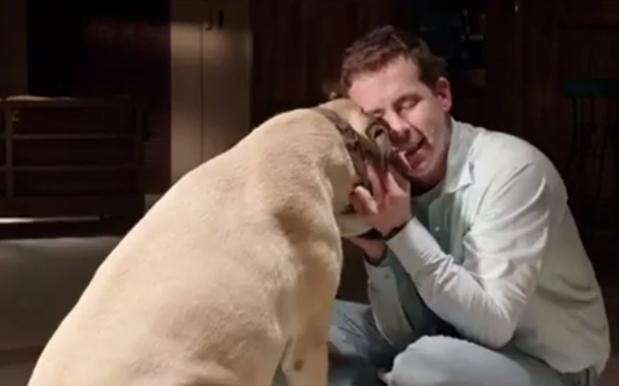 Ryan Reynolds, Jacki Weaver’s ‘The Voices’ Offers Definitive Proof That Cats Are Evil
