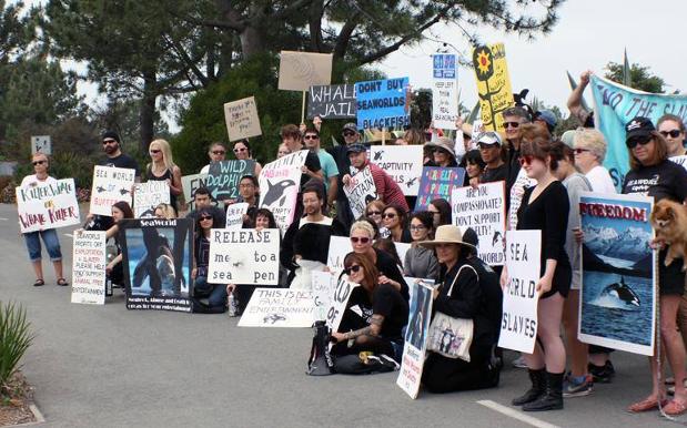 SeaWorld Gets Lower, Admits Staff Posed As Wildlife Activists For Intel