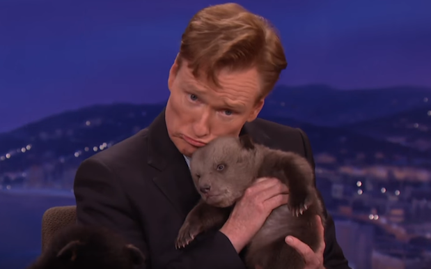 WATCH: Conan Shmooshing A Bear Cub Is Proof Good Things Still Happen