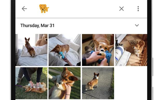 Google Trick Lets You Search The Shit Outta Your Photos Using Only Emoji