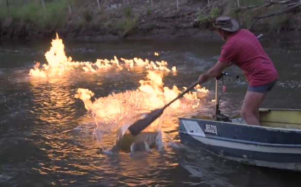 WATCH: QLD River Lights On Fkn Fire, Care Of Massive Underwater Gas Leaks