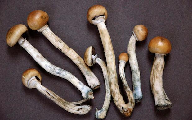 Study Reckons Shrooms Might Work As Last Resort Treatment For Depression