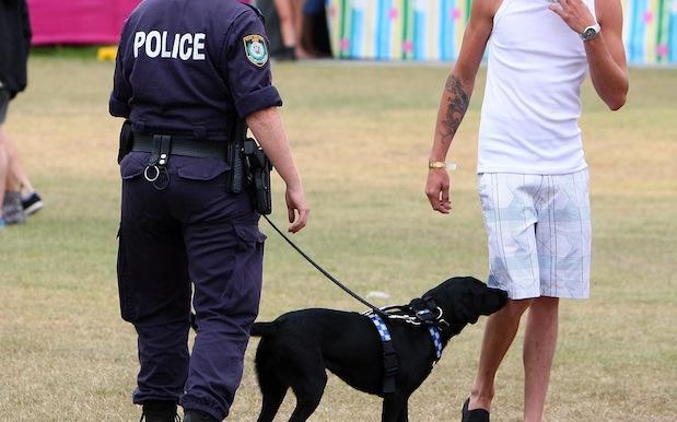 Greens MP Shreds NSW Police For Dropping $66 Million On Sniffer Dogs