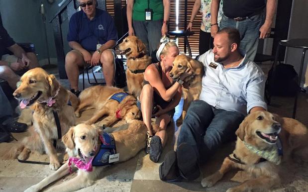 Comfort Doggies Are Healing The Orlando Community & Oh God It’s Too Much