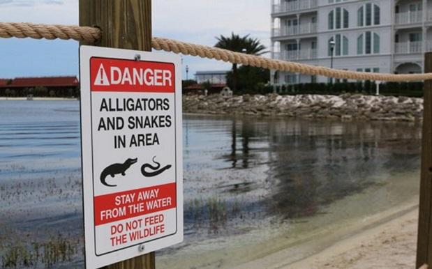 Disney World Is Just Now Installing Gator Warning Signs After Child’s Death