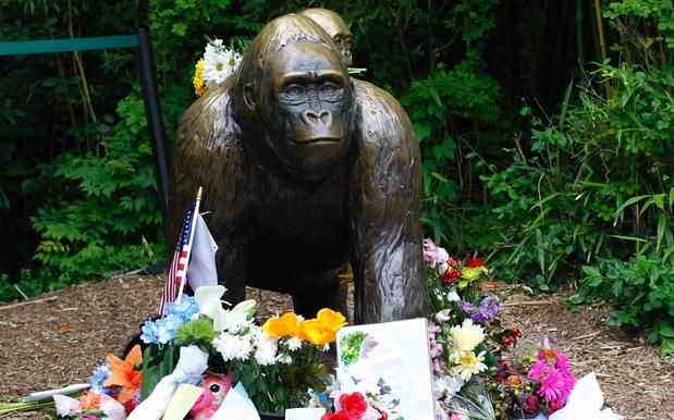 The Mum Of The Kid Who Fell In Gorilla Enclosure Won’t Face Any Charges