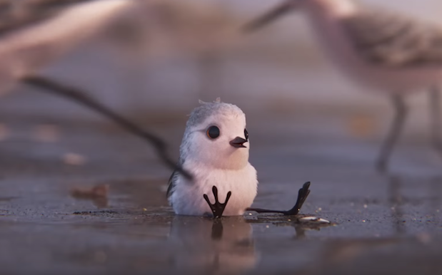 WATCH: Pixar Releases Military-Grade Cute Teaser For Upcoming Short “Piper”