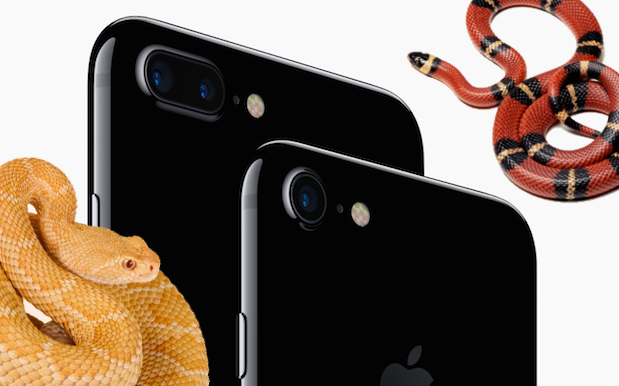 iPhone 7 Users Are Reporting The Devices Hiss Like A Pissed Off Snake