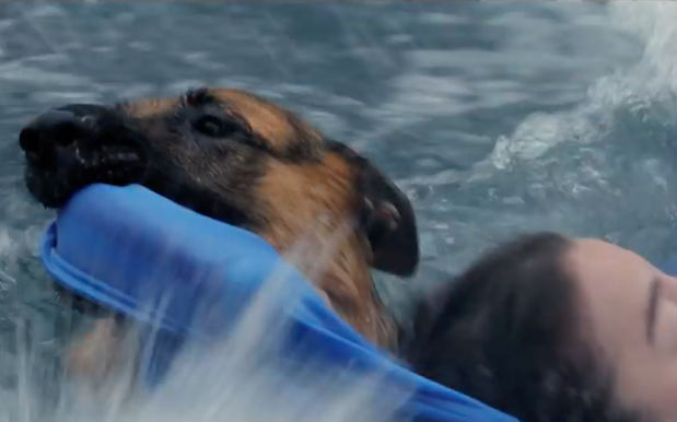 ‘A Dog’s Purpose’ Premiere Cancelled After Backlash Over Dog Abuse Video