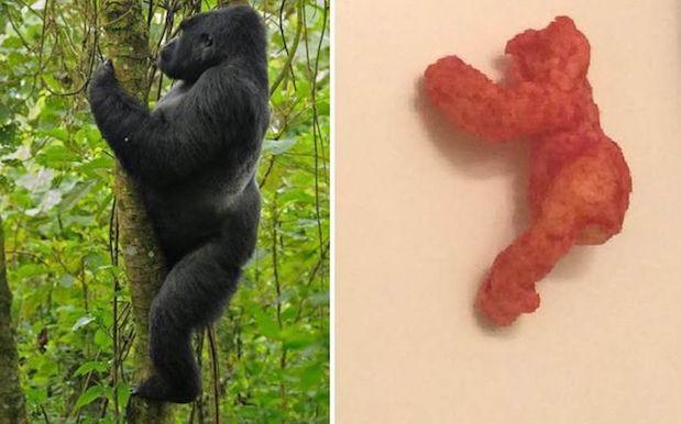 Someone Forked Out Over $130,000 For A Cheeto That Looks Like Harambe
