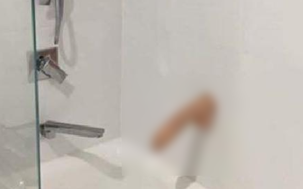 QLD Plumber Gets The Boot After Posting Client’s Sex Toy On Facebook