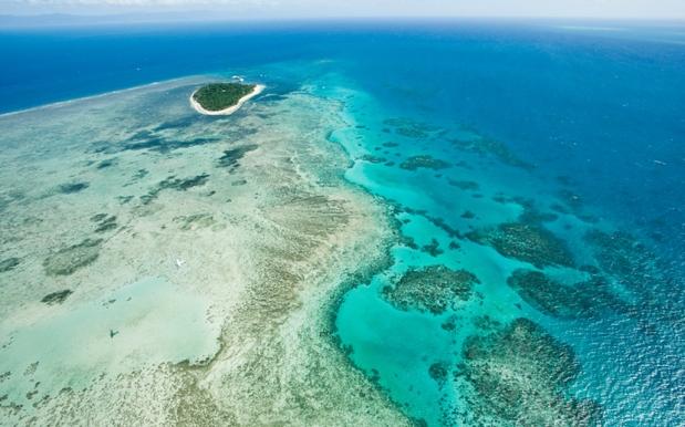 One Snorkeller Dead, Another Critical After Great Barrier Reef Incidents