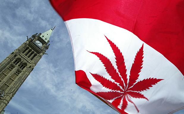 CHOOFOUNDLAND: Canada Reportedly Set To Legalise The Weed Drug By Mid-2018