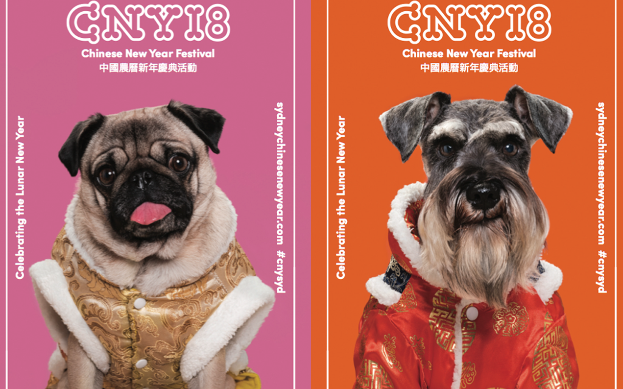 Sydney Is Celebrating Lunar New Year With Adorable Puppy Ambassadors