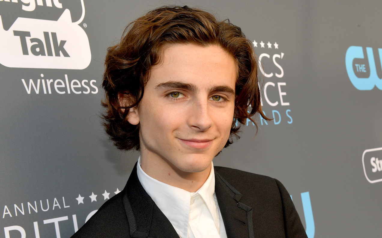 Timothée Chalamet Geeked Out About Robin, So We Have A New ‘Batman’ Casting Suggestion