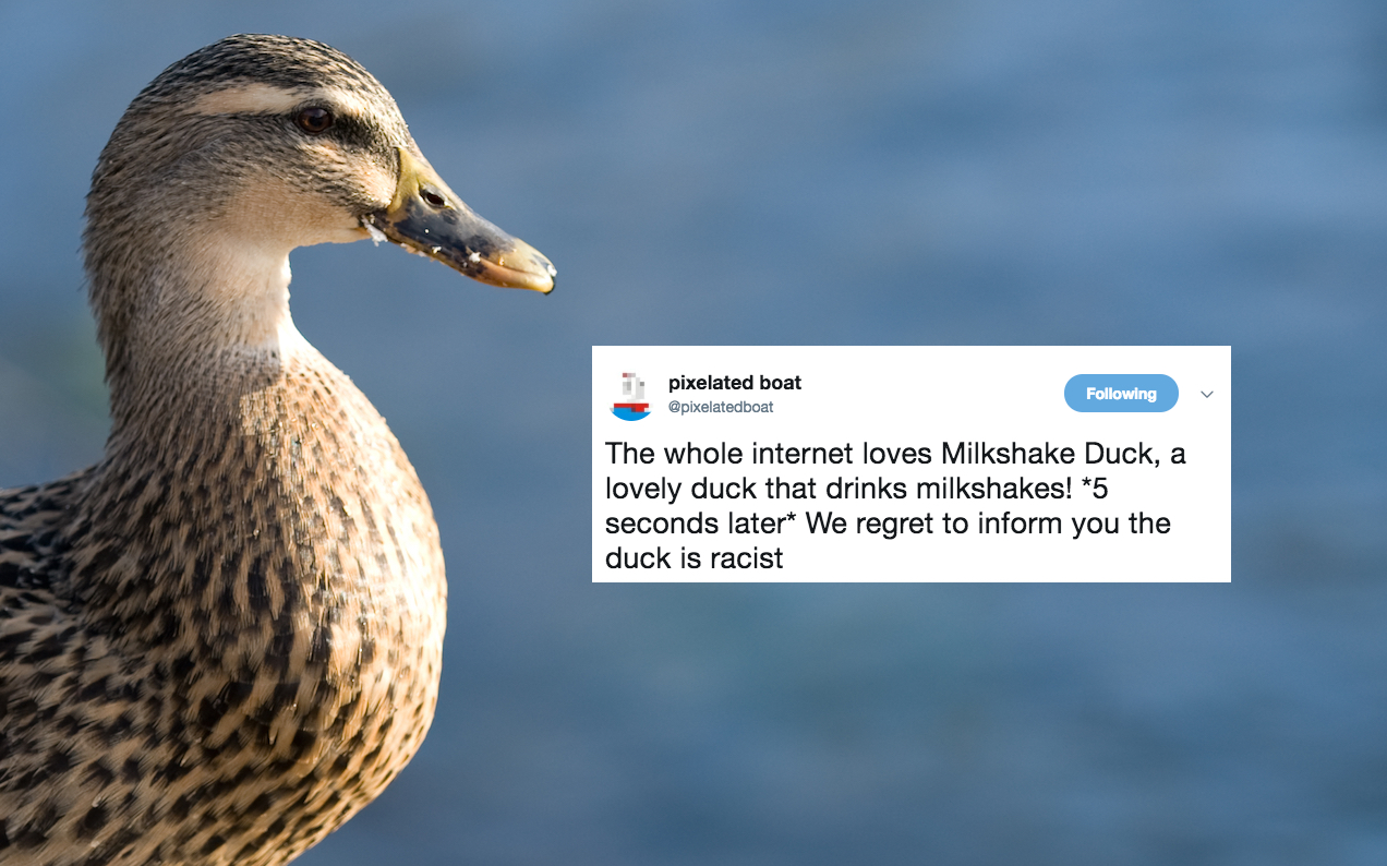 ‘Milkshake Duck’ Voted Macquarie Dictionary’s Idol-Killing Word Of The Year