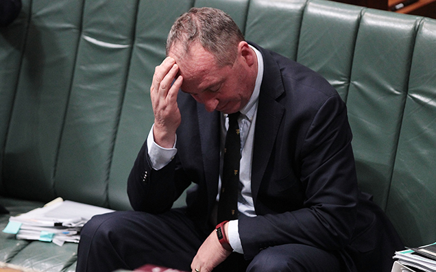 A Liberal MP’s Office Accidentally Emailed Out A Barnaby-Ethering Meme