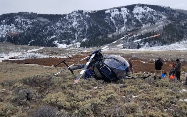 Airborne Research Helicopter Brought Down By Elk Leaping Into Tail Rotor