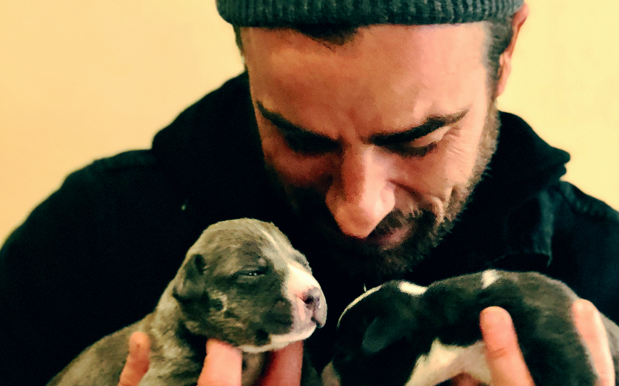 Justin Theroux’s Spending His Time With Wee Pups, Is Great Thanks For Asking