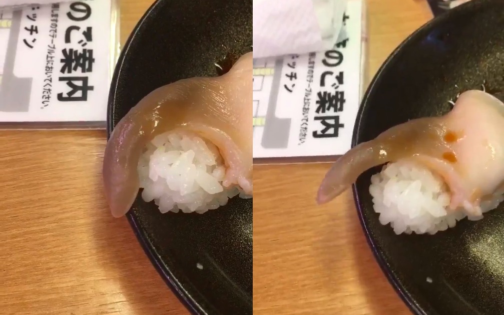 Gaze Upon This Hideous Writhing Clam Sushi & Despair At The Folly Of Man