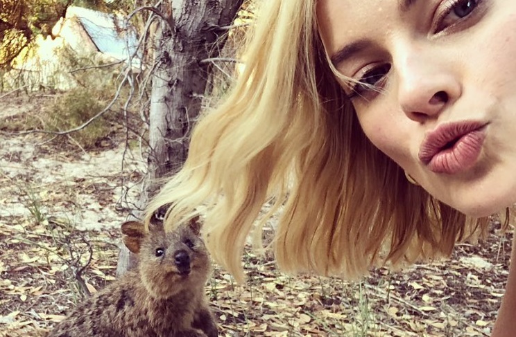 Instagram Is Cracking Down On Quokka Selfies, And WA Officials Are Pissed