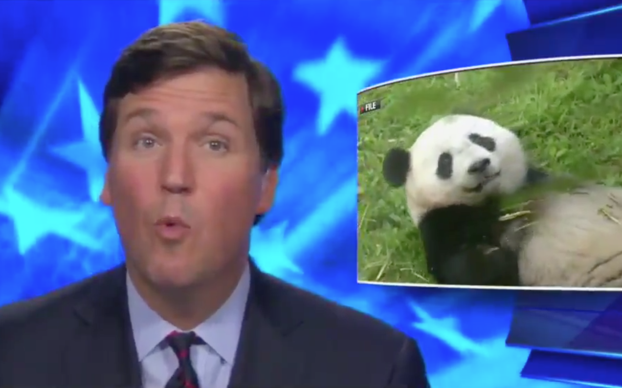 ‘Anchorman’ Director Shocked One Of His Dumbest Scenes Just Played Out IRL