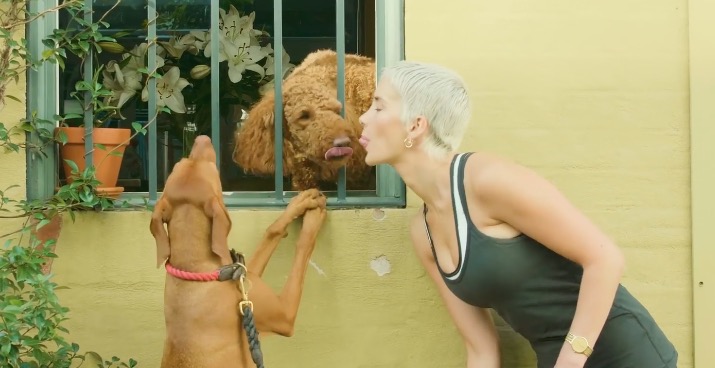 WATCH: We Borrowed A Dog For A Day To See If It Made Us Happier