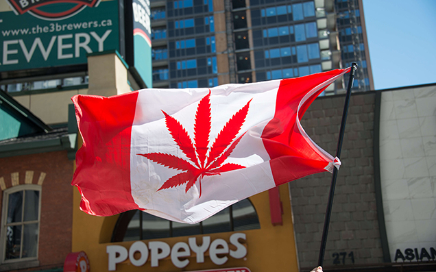 Canada Legalises Weed, Which Is Huge For Your Mate Who Works At Whistler