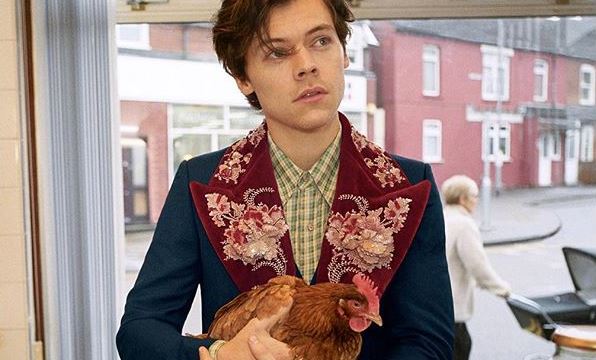 Here’s Harry Styles In The New Gucci Campaign Lovingly Holding A Live Chook