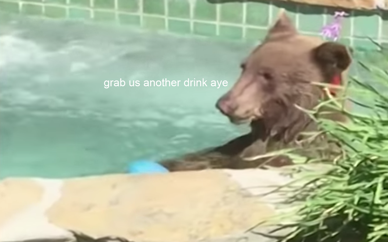 Pls Look At This Precious Bear Lounging In A Jacuzzi & Whisper ‘Same’