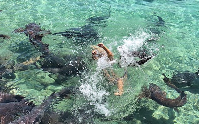 Instagram Model Posing For Photo Amidst School Of Sharks Bitten By Shark