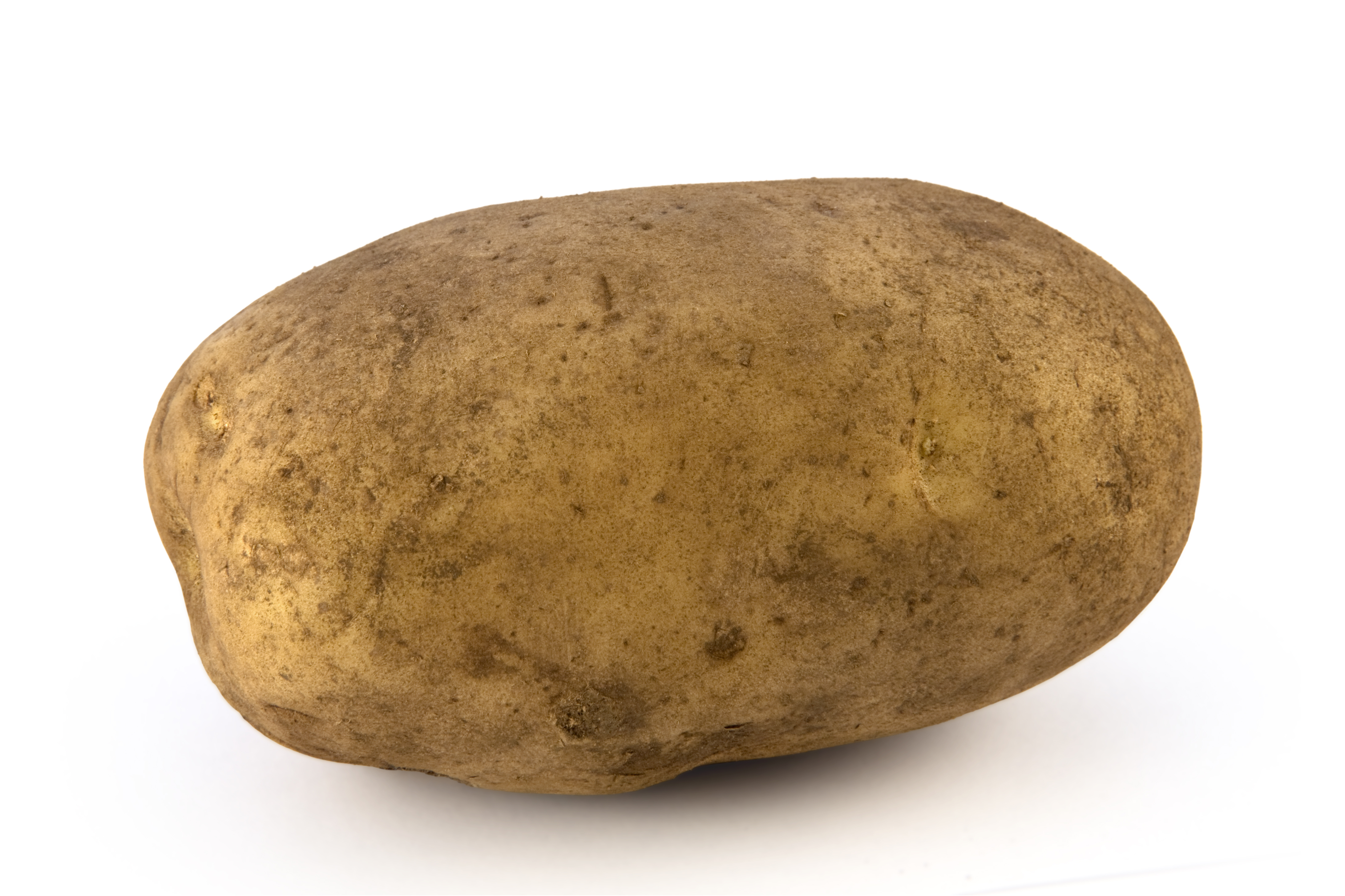 For $1 You Can Send Peter Dutton A Dirty Potato To Support Refugees