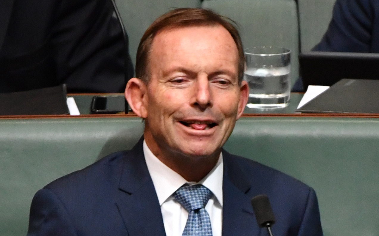 Right On Cue, Tony Abbott Has Chucked A Big Sook Over The Leadership Spill