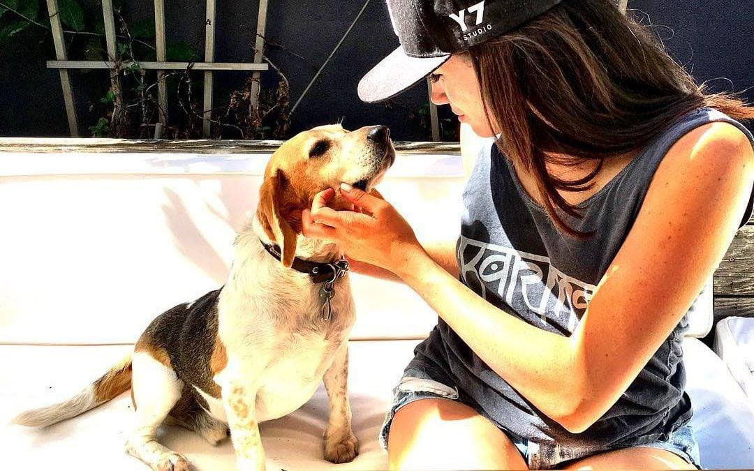 Meghan Markle’s Rescue Dog, Guy The Beagle, Is Sniffing At His Own Book