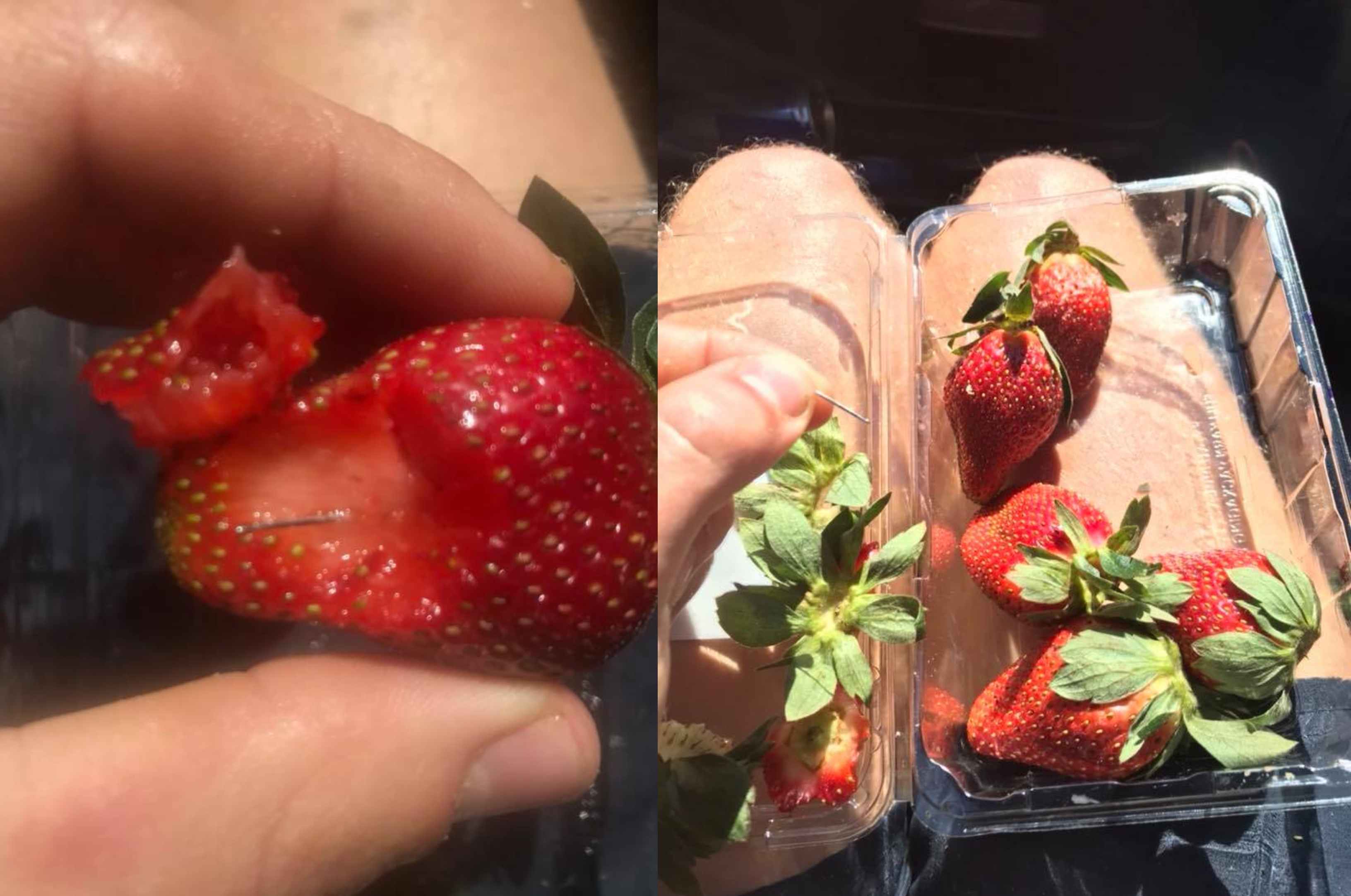 Very Unwelcome Needles Popping Up In Aussie Strawberries Have Prompted A Recall