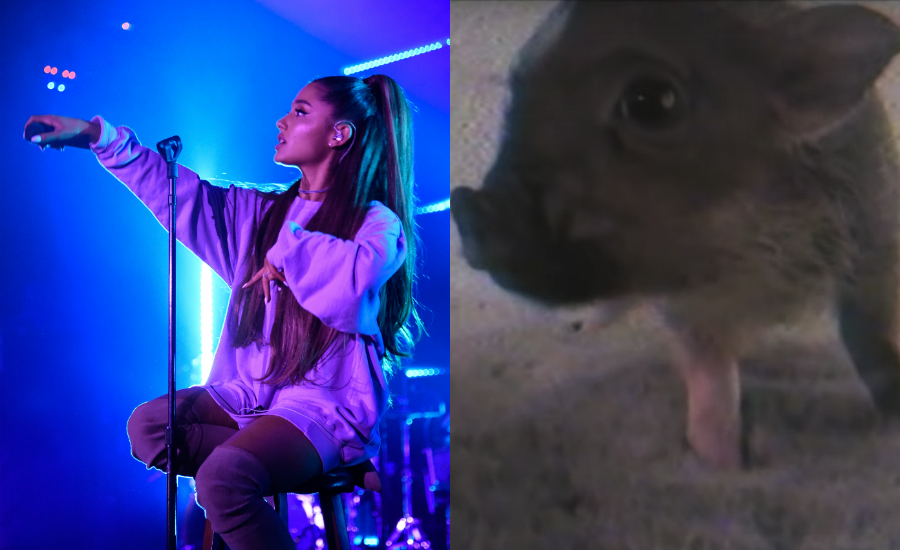 Ariana Grande’s Wholesome New Visuals For ‘Breathin’ Feature Her Bébé Pig