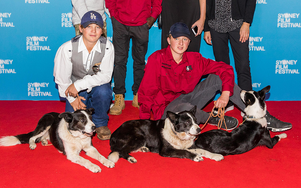 These Red Carpet Pups Are The Stars Of A New Heartwarming Aussie Doco
