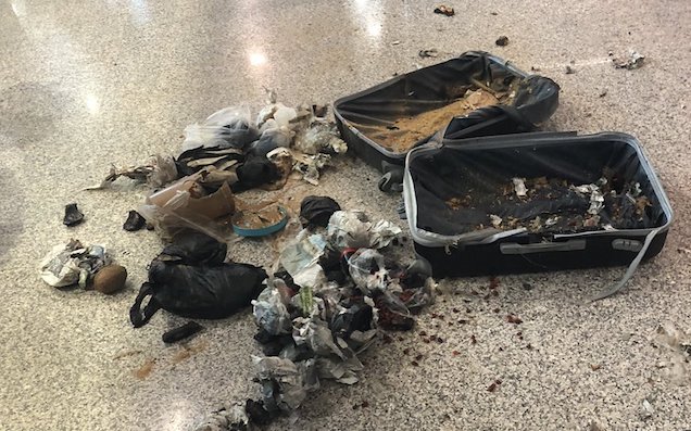 Police At Rome Airport Blow Up Suitcase Containing Lovely Bunch Of Coconuts