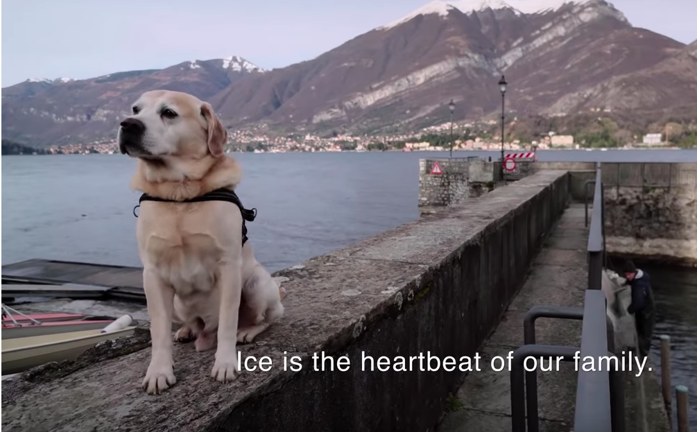 Netflix Drops Trailer For ‘Dogs’, The Doco Dedicated To Your Floofer Friends