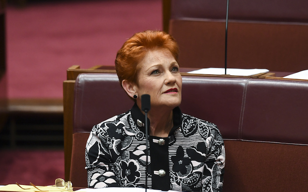 The Government Just Voted With One Nation To Declare That It’s ‘OK To Be White’