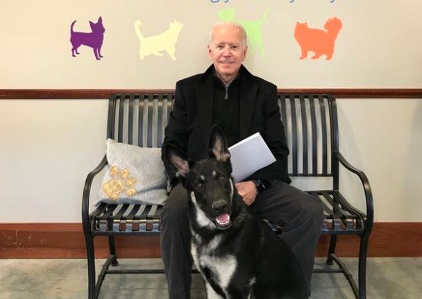 Here Are Some Precious Piccies Of Joe Biden And His New Rescue Dog Major