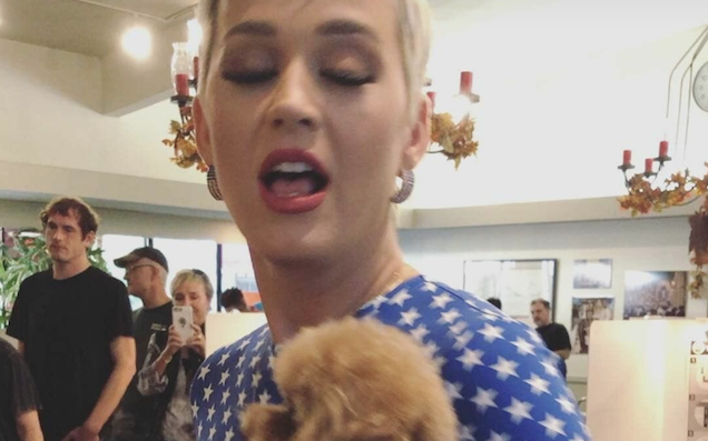 Katy Perry’s Voting Instagram Story Has A Surprise Cameo From Death Grips