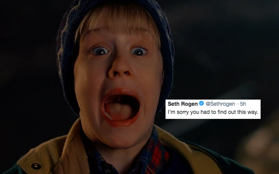 Seth Rogen Once Ruined Christmas By Pointing Out A Very Obvious Home Alone Fact