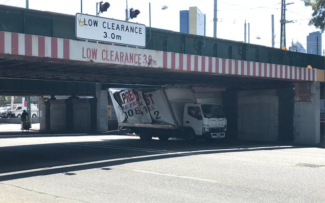 All Hail The Montague St Bridge, Which Has Returned To Feed After 224 Days